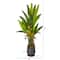 5ft. Bird of Paradise Plant in Decorative Planter